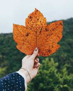 ساحل براتی موسی | آکادمی امروز