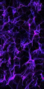 فاطمه هادی پور | آکادمی امروز