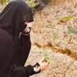 مریم نعمت اللهی | آکادمی امروز