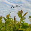زهرا حاتمی | آکادمی امروز