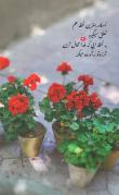 مرتضی بلوچ قرایی | آکادمی امروز
