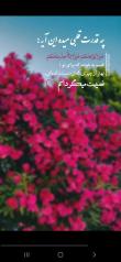 فاطمه  صادقیان | آکادمی امروز