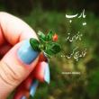 آکادمی امروز| بهار دارابی