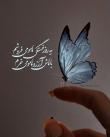 زهرا عباس پور | آکادمی امروز