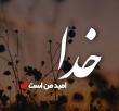 مائده حسینی | آکادمی امروز