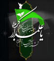 سید علی اکبر  رضائی  | آکادمی امروز