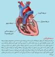 علی موسوی | آکادمی امروز
