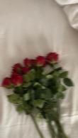 مطهره طالبی | آکادمی امروز