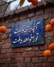 زهره عباسی | آکادمی امروز