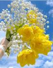 رعنا دژبرد | آکادمی امروز