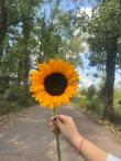 آکادمی امروز| مهسان🌻 سرپرست