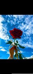 آکادمی امروز| زهرا  مجردی